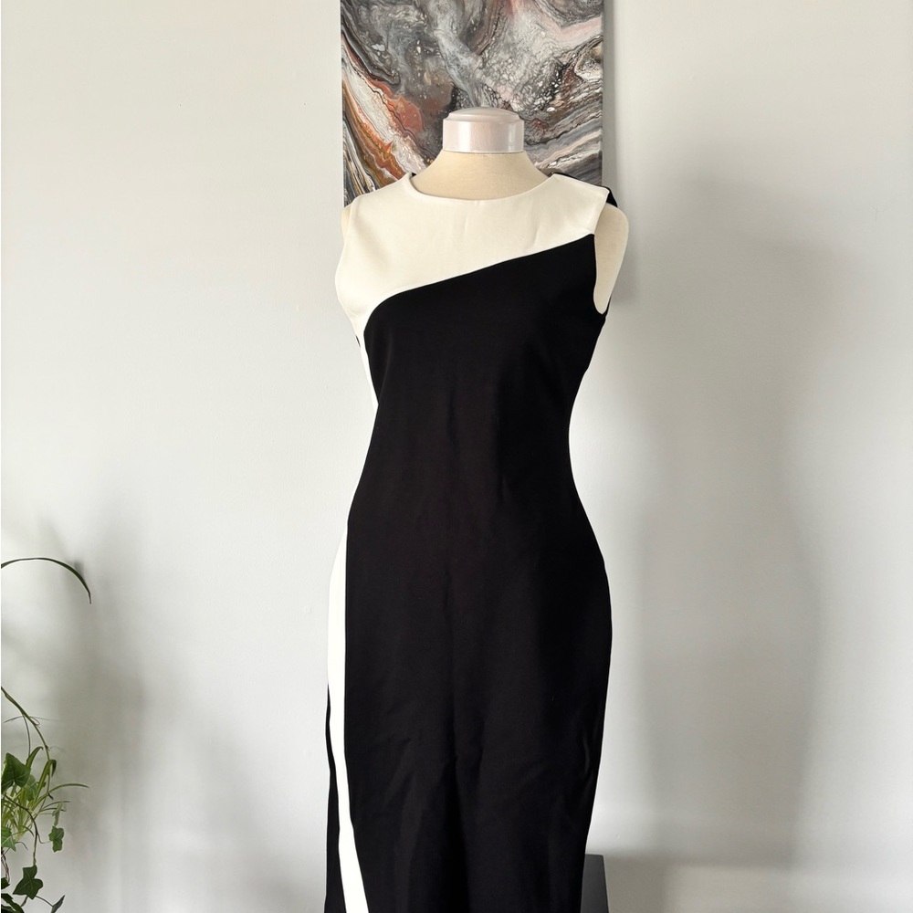 Elegant Black and White Sleeveless Dress